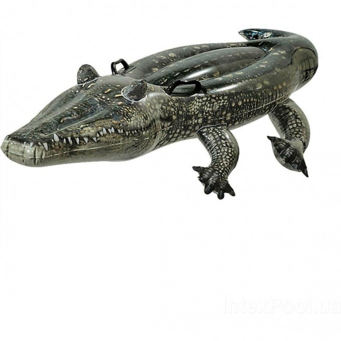Игрушка для плавания INTEX «Аллигатор», 170х86 см, от 3 лет 57551 Игрушка для плавания INTEX «Аллигатор», 170х86 см, от 3 лет 57551