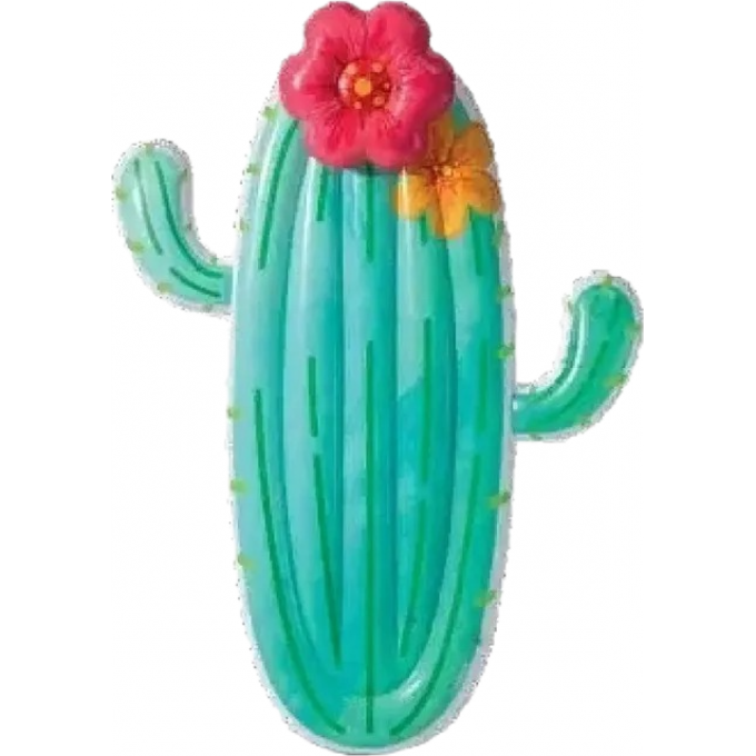 Надувной матрас для плавания INTEX "КАКТУС" 180х130х28с м, до 100 кг 58793 Надувной матрас для плавания INTEX "КАКТУС" 180х130х28с м, до 100 кг 58793